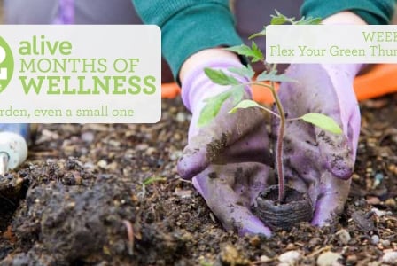 #2013alive: How Does Your Garden Grow?
