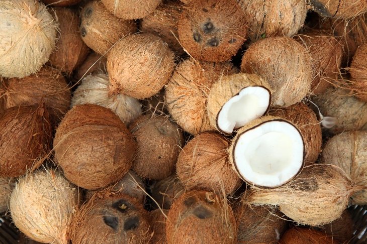 Everything You Wanted to Know About Coconut
