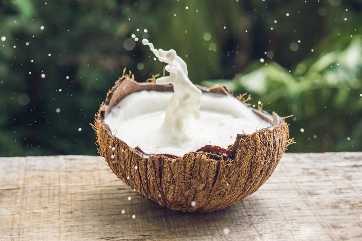 Coconut fruit and milk splash inside it on a background of a palm tree.