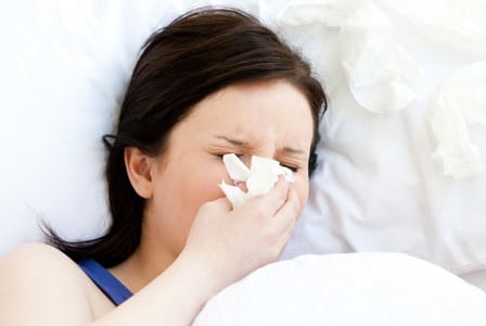 New Research Shines Spotlight on Echinacea for the Flu
