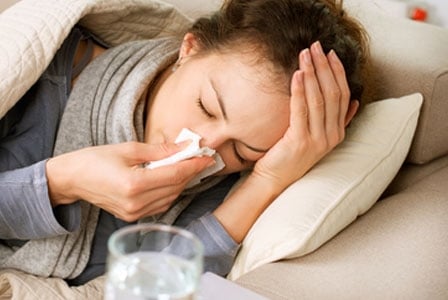 Flu Fears? Arm Yourself with Echinacea
